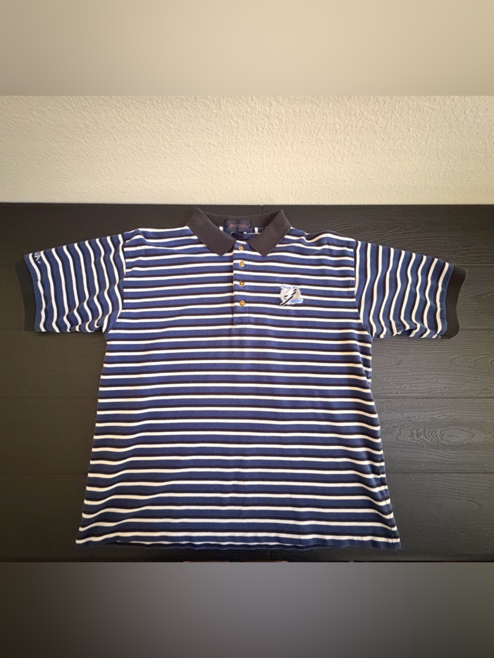 Blue & White Striped Short Sleeve Polo with Tampa Bay LightningEmbroidered Crest